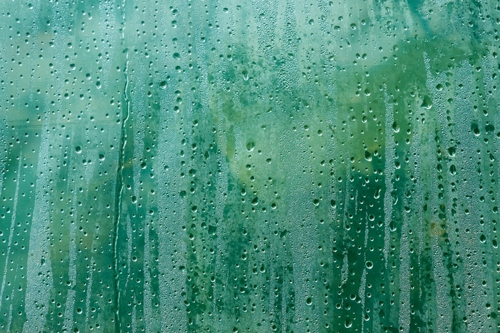 Condensed water droplets on a window
