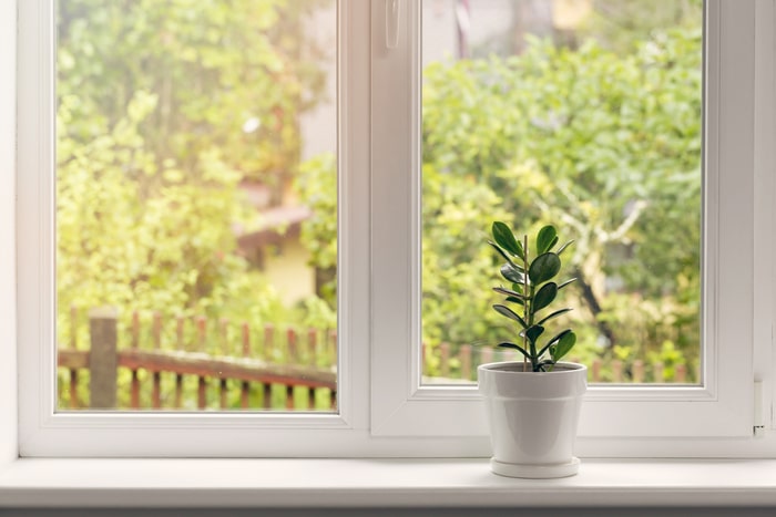 A window with trees outside