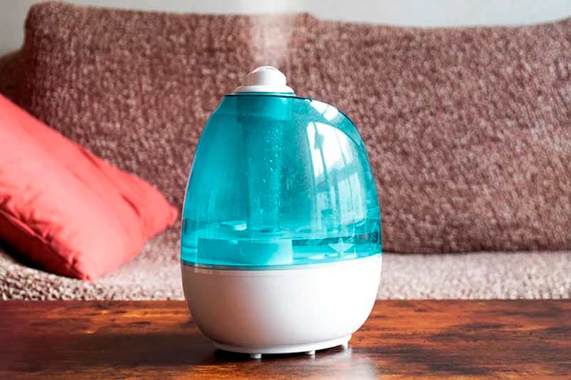 Adding Humidity with a Humidifier