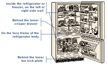 A diagram to find a bottom freezer refrigerator's model number