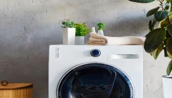 Washer in a laundry room with a plant