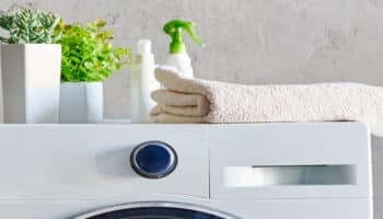 Washer with cleaning products